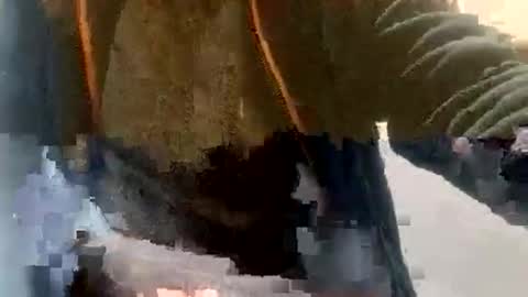 Snapshot of sebtin1979 chatting on February 2026 02:36:01 PM sebtin1979 online show from February 2026 02:36:01 PM