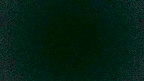 Sunny online show from March 2025 09:03:01 PM