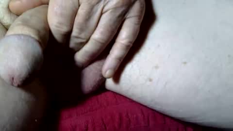 seeus24 online show from November 2025 03:45:02 AM