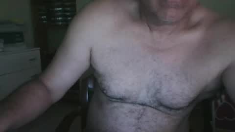 segebe online show from July 2026 09:37:02 AM