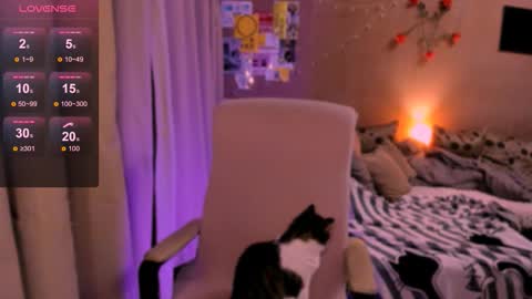 Snapshot of selectrra chatting on February 2026 04:58:02 PM selectrra online show from February 2026 04:58:02 PM