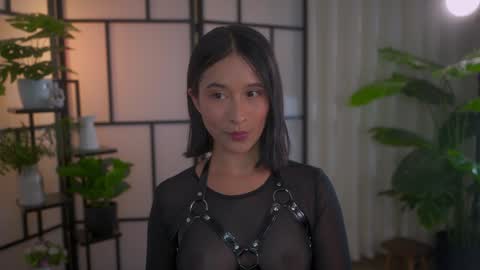 Maria- OF sensual bee online show from January 2025 12:17:02 AM