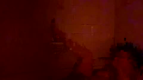 Tara online show from December 2024 02:25:01 AM