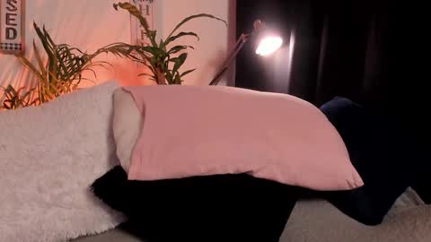 Serenity online show from January 2025 11:14:02 PM