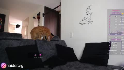 Snapshot of setth_69 chatting on February 2026 06:00:02 PM setth online show from February 2026 06:00:02 PM