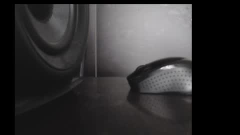 Daniel Taylor online show from November 2025 12:23:02 PM