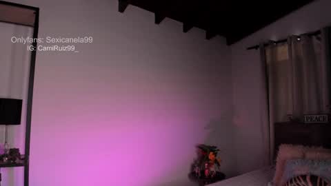 ... Camila ... online show from December 2024 04:40:01 PM