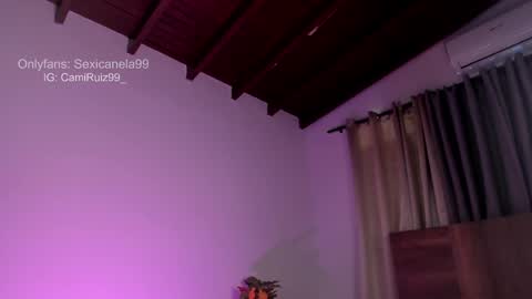 ... Camila ... online show from January 2025 04:11:01 PM