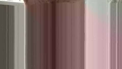 Sexland online show from January 2026 06:06:02 AM