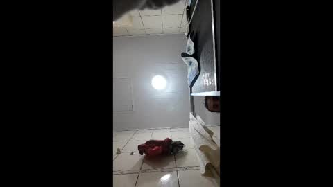 sexshyfun online show from January 2026 02:37:02 AM