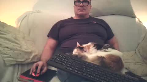 Sexurbation online show from November 2025 08:14:01 PM