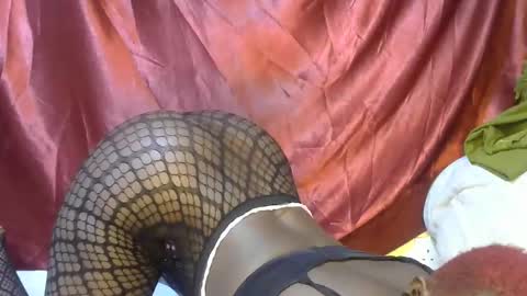 triza online show from September 2025 06:15:01 AM