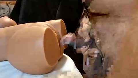 Sexy29tx online show from May 2026 07:05:02 AM