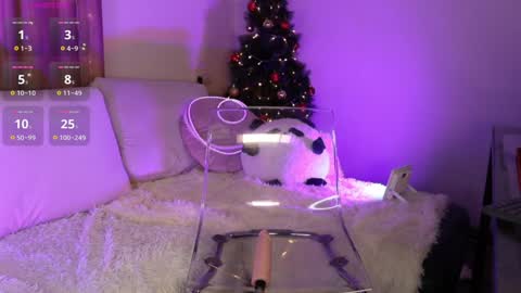 Lina online show from December 2024 08:41:01 AM