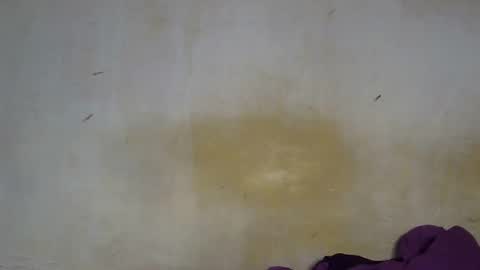 sexy_candy9 online show from December 2025 10:57:01 AM