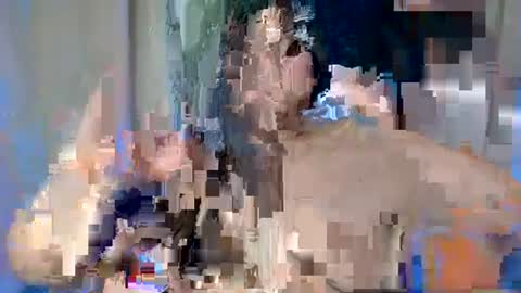 ALFREA online show from February 2025 07:47:02 AM