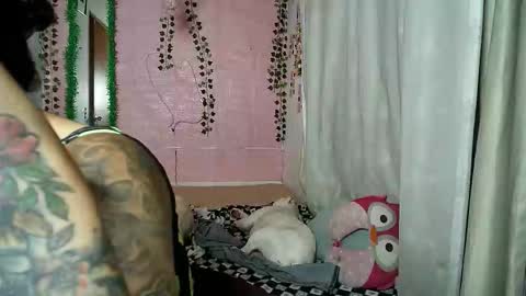sexy lolas online show from October 2025 01:36:02 AM