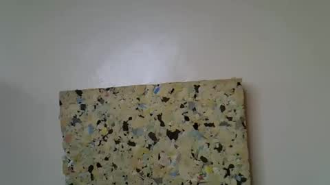 Molyne online show from April 2026 01:45:02 PM