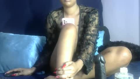 sexy pigeon online show from April 2026 03:37:02 AM