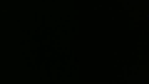 sexy_string online show from January 2025 05:49:02 PM