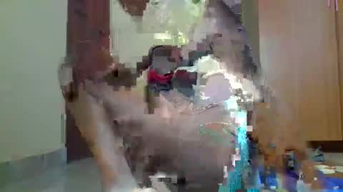 Sexybilha483 online show from February 2025 11:57:02 AM