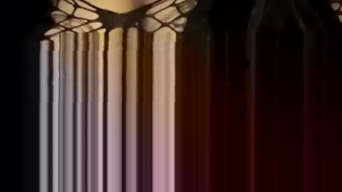 Snapshot of sexycplluv chatting on January 2026 04:23:02 PM Forever Erotica online show from January 2026 04:23:02 PM