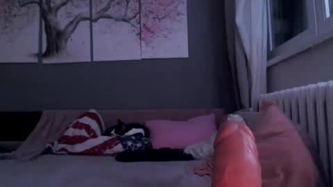 Snapshot of sexyella25 chatting on January 2025 11:56:02 PM .... ............ Onlyfans online show from January 2025 11:56:02 PM