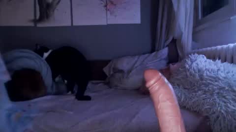 Snapshot of sexyella25 chatting on February 2025 10:04:02 PM .... ............ Onlyfans online show from February 2025 10:04:02 PM