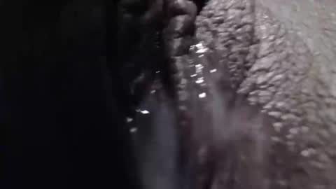 sexyjustin202 online show from February 2025 01:53:02 AM