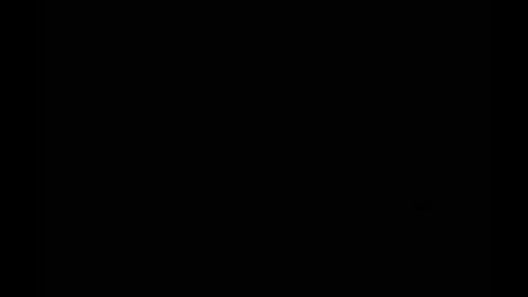 In the night in South America online show from February 2025 09:42:01 AM