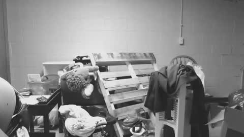 sexyshavenboi online show from January 2026 12:54:02 PM