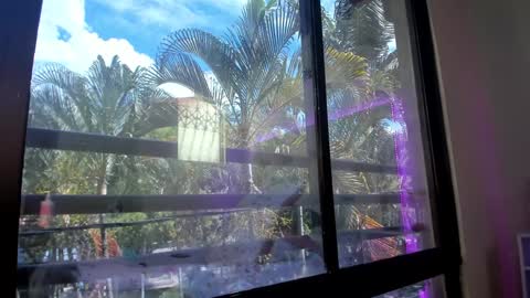 Snapshot of shannakendall chatting on January 2025 05:32:01 PM Shana online show from January 2025 05:32:01 PM