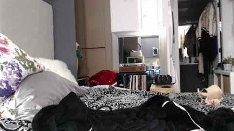 Snapshot of shannon07 chatting on January 2025 02:50:01 AM Shannon07 online show from January 2025 02:50:01 AM