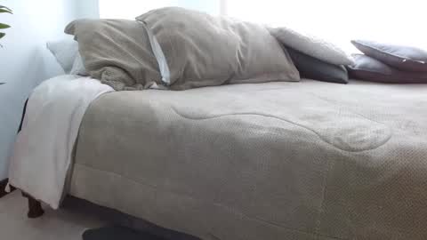 you shannon online show from September 2025 05:35:02 PM