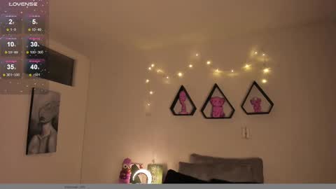   online show from December 2024 08:26:02 AM