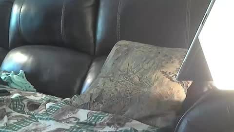 Sharkey644 online show from March 2026 03:28:02 PM