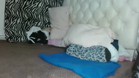 sharlot03 online show from March 2025 12:28:01 PM