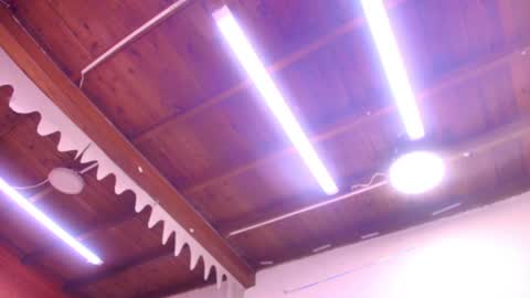 Sharlott online show from January 2025 11:59:01 AM