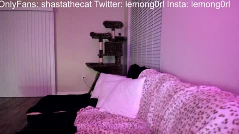 Snapshot of shastathecat chatting on December 2024 03:56:02 AM Shasta online show from December 2024 03:56:02 AM