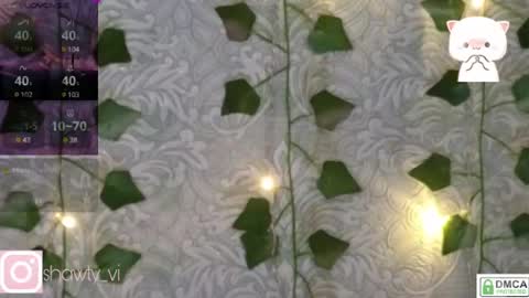 shawty_vi online show from February 2025 08:13:02 PM