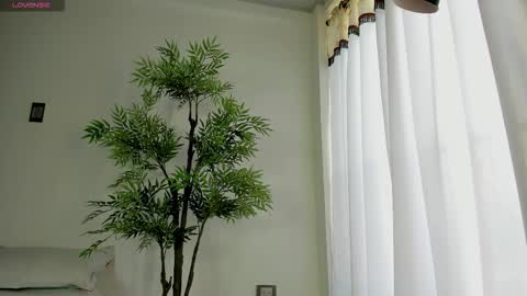 shazam online show from December 2025 01:28:02 PM