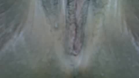 shaz online show from May 2026 02:01:01 PM
