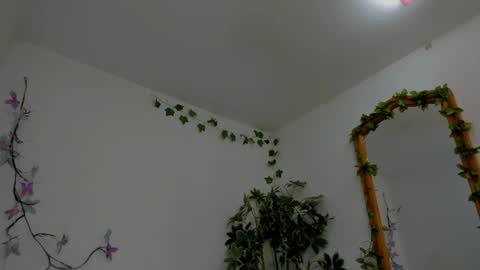 Shego  online show from July 2026 12:18:02 AM