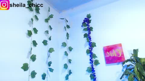 Snapshot of sheila_bigcok chatting on December 2024 07:39:02 PM SHEILA online show from December 2024 07:39:02 PM