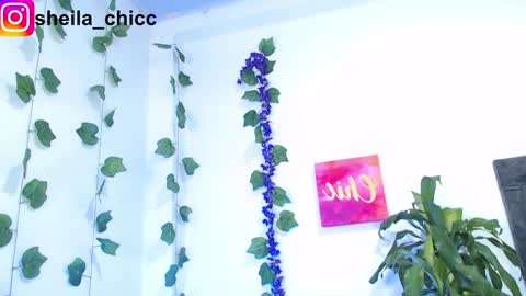 Snapshot of sheila_bigcok chatting on December 2024 10:52:01 PM SHEILA online show from December 2024 10:52:01 PM