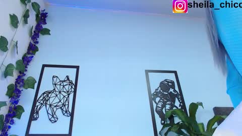 Snapshot of sheila_bigcok chatting on February 2025 12:36:02 AM SHEILA online show from February 2025 12:36:02 AM