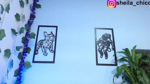 Snapshot of sheila_bigcok chatting on February 2025 02:25:02 PM SHEILA online show from February 2025 02:25:02 PM