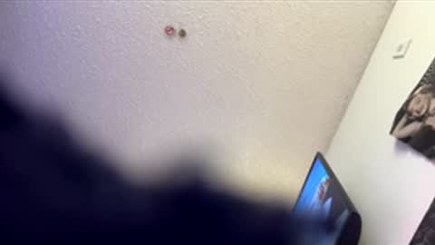 shelbsss17 online show from March 2026 06:25:01 AM