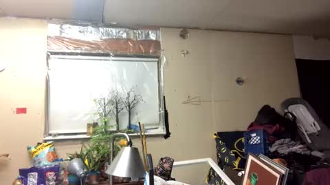 Shelby holes online show from March 2025 11:42:02 AM