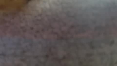 Erika online show from February 2025 09:24:02 PM